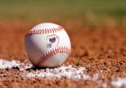 La pasion del beisbol de venezuela